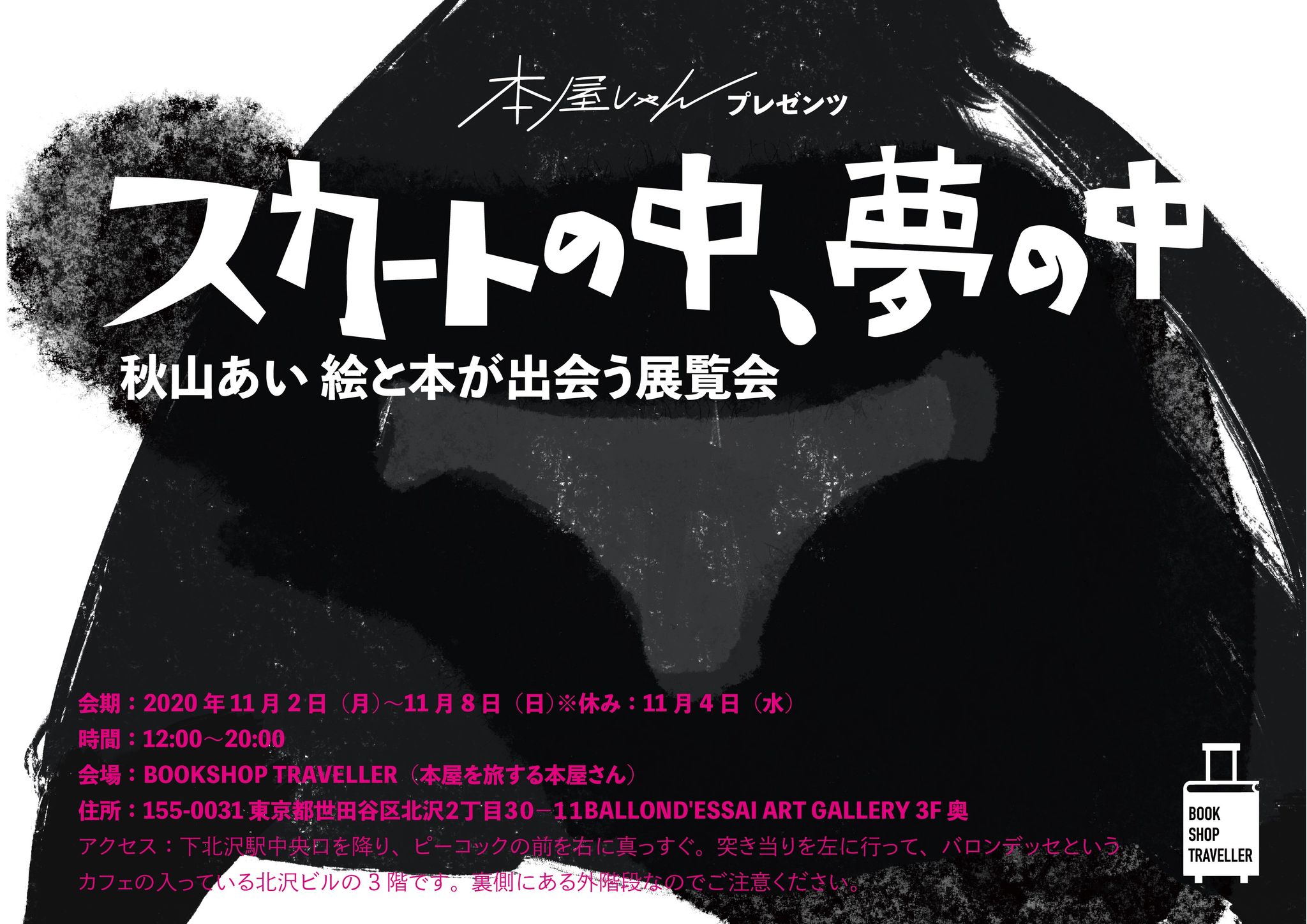 本屋しゃんプレゼンツ 秋山あい 絵と本が出会う展覧会 スカートの中 夢の中 11 02 11 08 Bookshop Traveller 本屋しゃんのほーむぺーじ