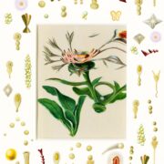 小林紗織 個展『記憶の中の花』@twililight